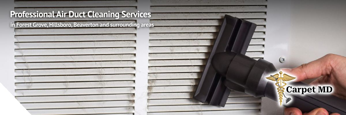 Carpet MD technician performing eco-friendly air duct cleaning to improve indoor air quality and HVAC efficiency.