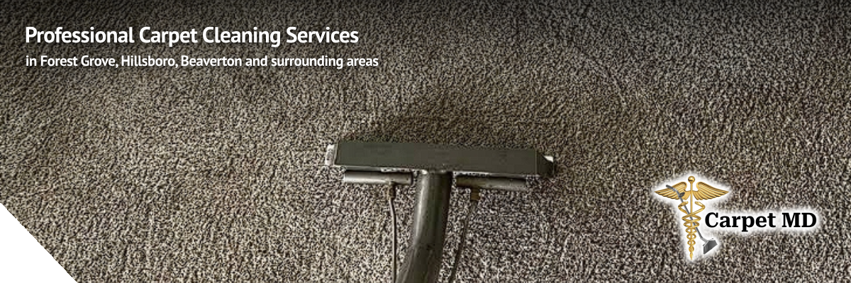md-service-carpet-cleaning-banner