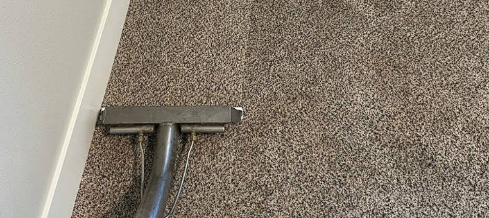 md-service-carpet-cleaning-img01