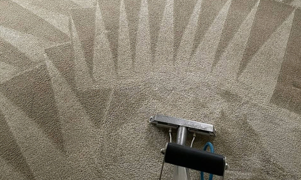md-service-carpet-cleaning-img02