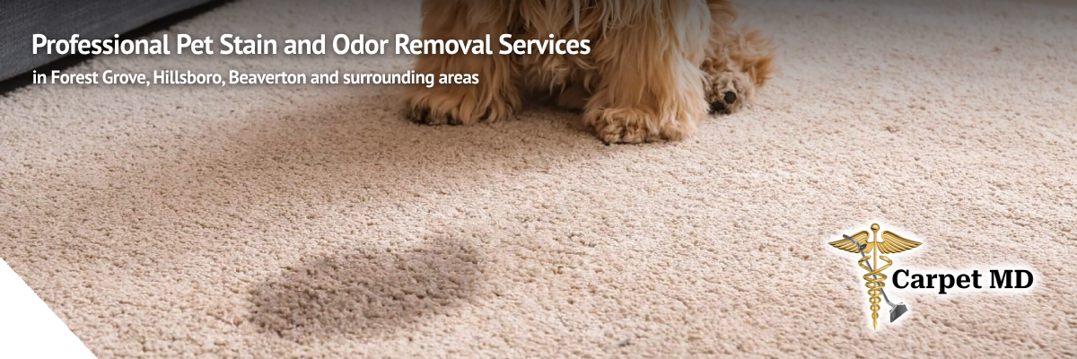 md-service-pet-stain-odor-removal-banner Carpet MD team performing professional pet stain and odor removal services for a clean, safe home environment.