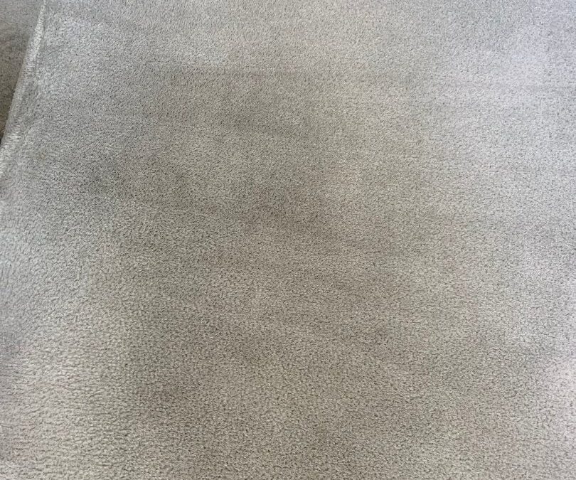 Carpet Cleaning That Revived McMinnville Floors