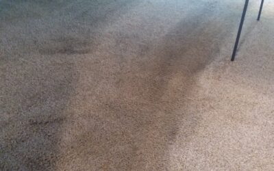 Carpet Cleaning Tigard OR for Move-Outs