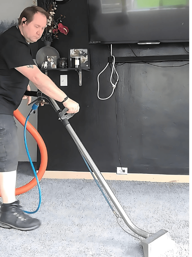 Carpet MD 2