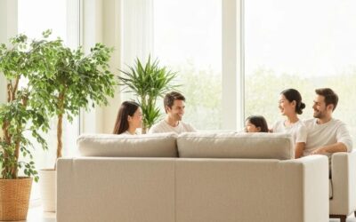 Expert Upholstery Cleaning: Revitalize Your Couch and Sofa with Our Professional Service